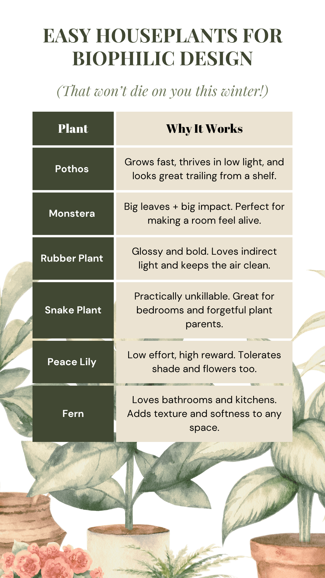 Easy Houseplants for Biophilic design